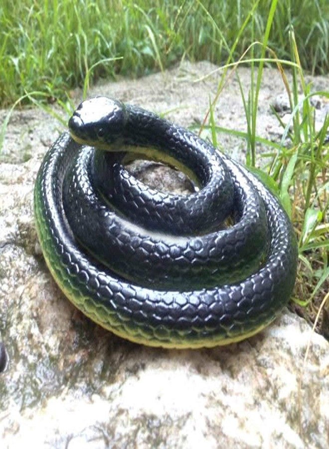 Munmoll Toys & Gifts Rubber Snakes Prank Toys & Gifts, Magic Shows Toy Snake for Kids, Fake Snake Toys for Garden,Funny Place Long (Black 30 -inch) Pack of 1 - Image 1